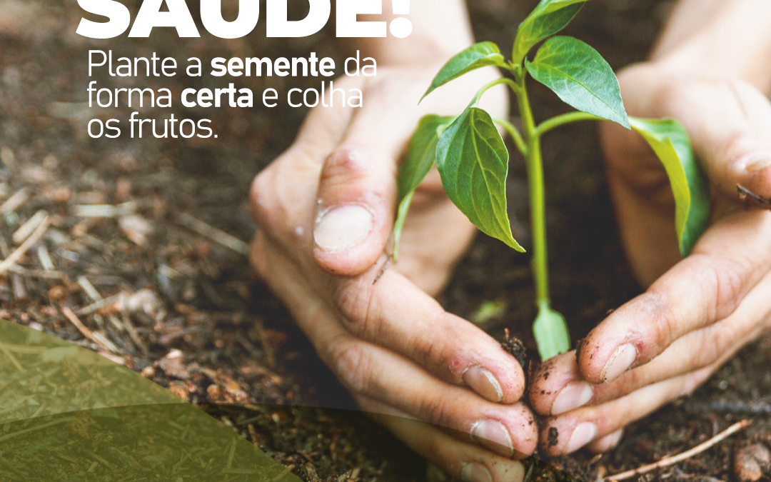 plante-a-semente-da-forma-certa-e-colha-o-fruto-da-saude!