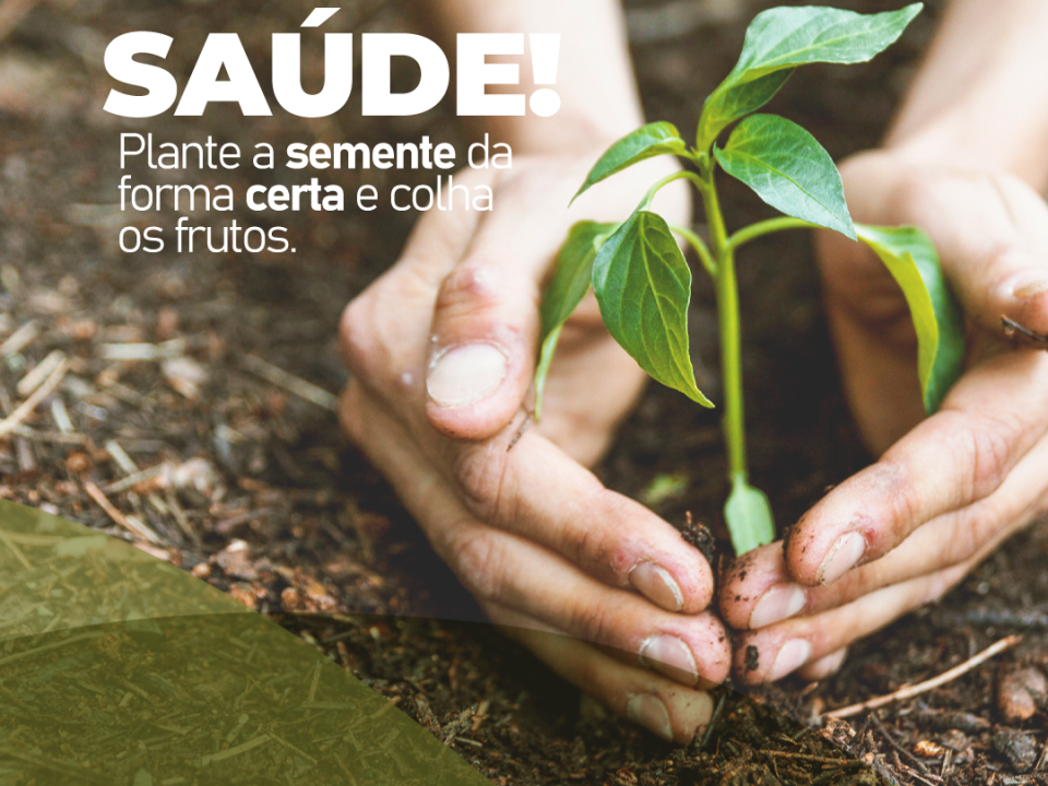 plante-a-semente-da-forma-certa-e-colha-o-fruto-da-saude!