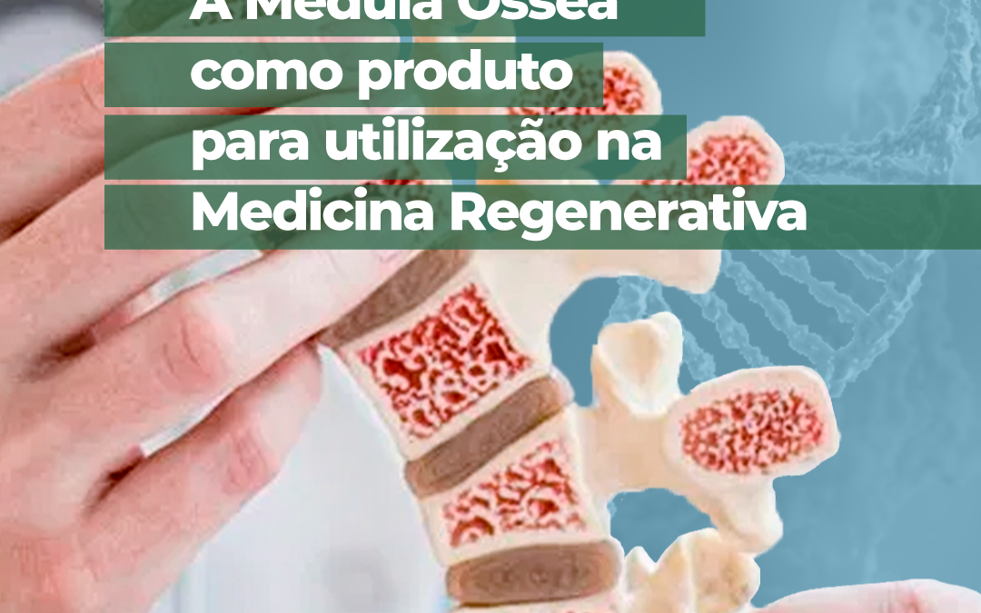 a-medula-ossea-como-produto-para-utilizacao-na-medicina-regenerativa