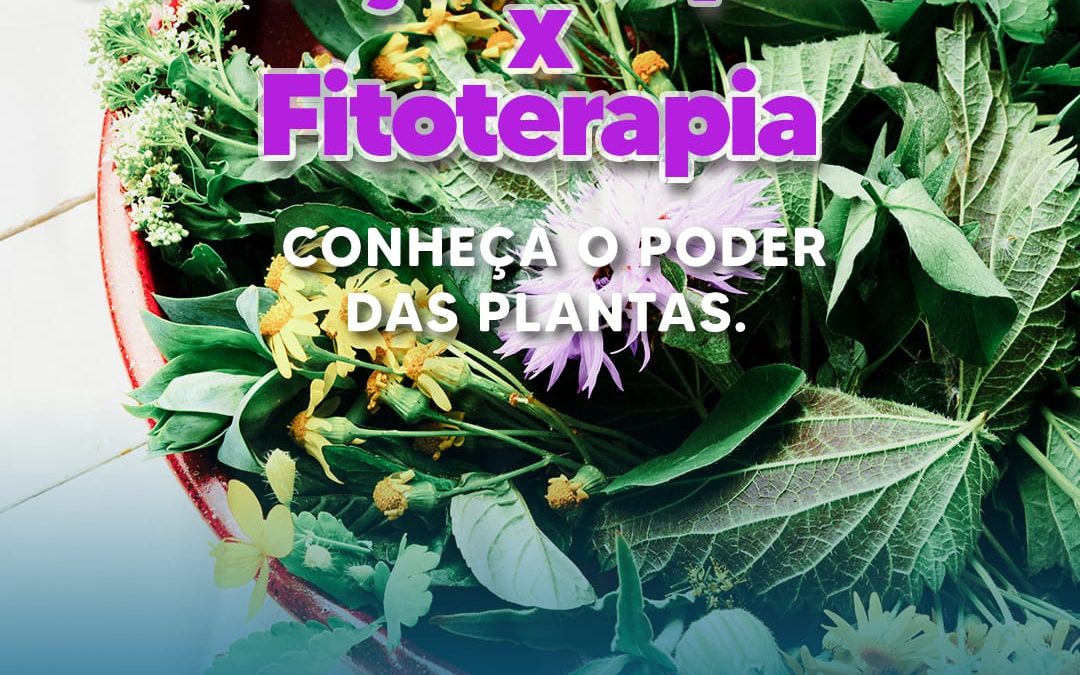 protecao-hepatica-x-fitoterapia