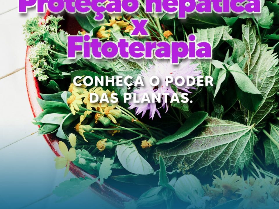 protecao-hepatica-x-fitoterapia