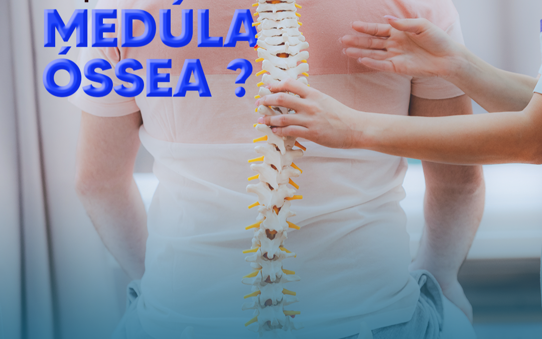 o-que-e-a-medula-ossea?