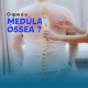 o-que-e-a-medula-ossea?